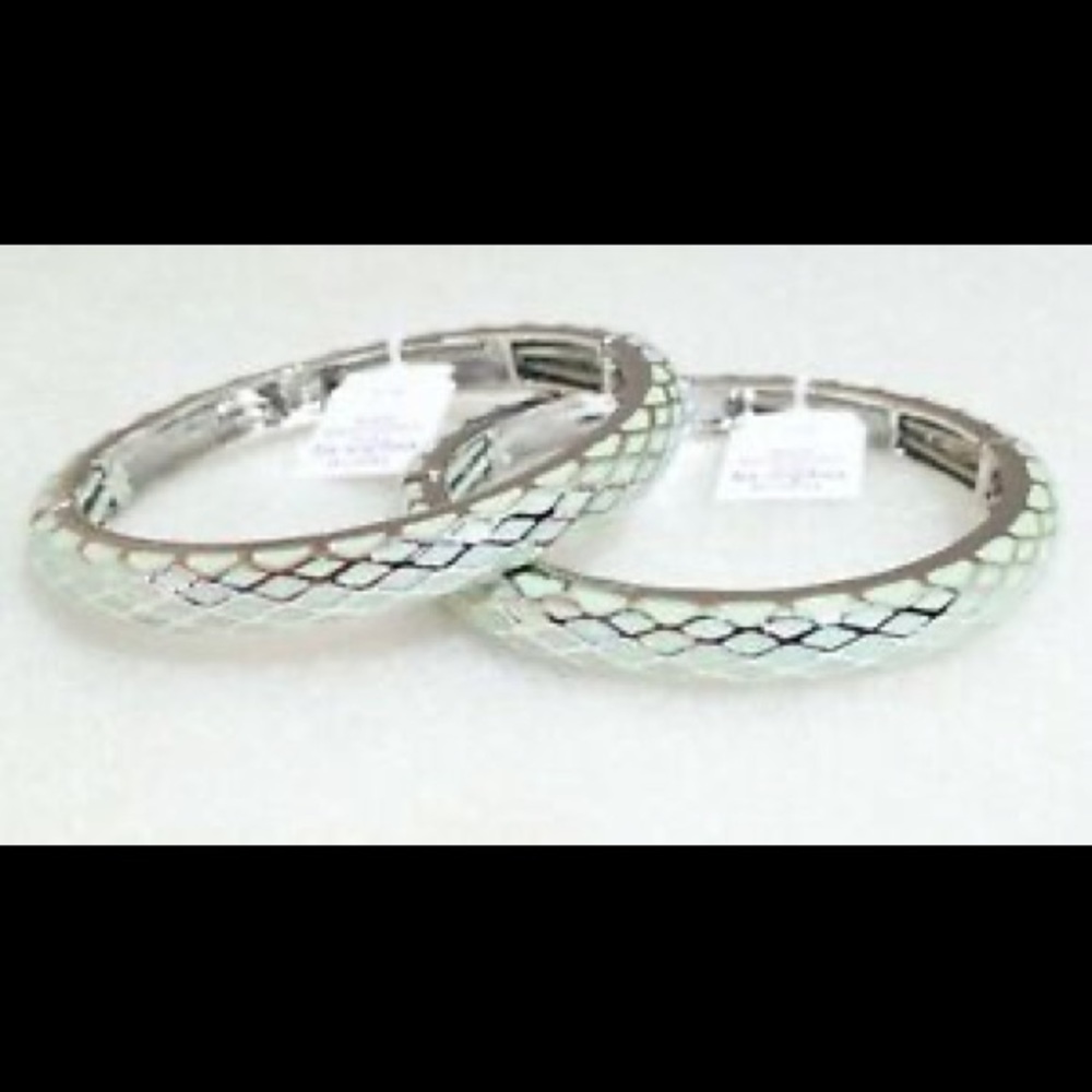 Price Drop! Bracelet set mint and silver